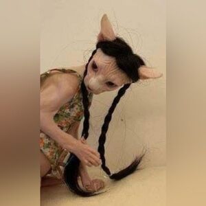 Cat costumes one with long braids No size  and 2 lion size L
NEW never worn